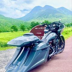 ハーレーダビットソン TR CVO 2019年式
