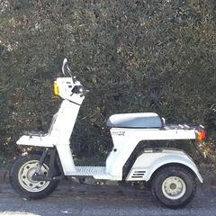 ホンダ ジャイロX TD01 中期 　ベース車

