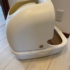 猫トイレの画像