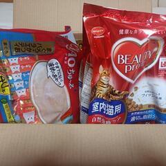 保護猫活動をしています。ご協力を。