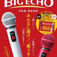 ビッグエコー梅田北新地