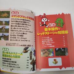 まいぜんシスターズとマイクラを遊ぼう！の画像