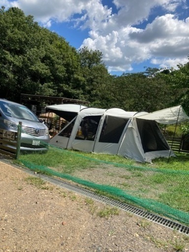 ロゴステント　WXL フルセット