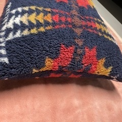 【神戸市、たつの市で受け渡し可】PENDLETON（ペンドルトン）　ボディーピローの画像