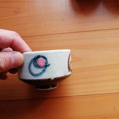 湯呑み　23個の画像