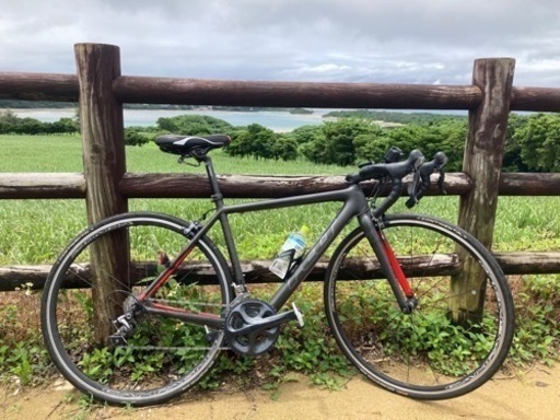 felt f5 フルカーボン