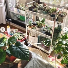 シェルフワゴン【中古】美容院　美容室　ヘアサロン
