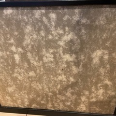 兜　奉書白馬　御飾馬　豊玉作の画像