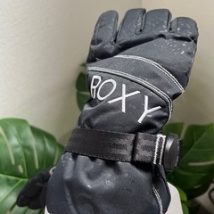 ROXY 防寒手袋の画像