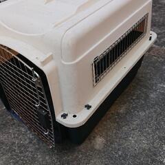 犬用ハードキャリー(中型犬)中古品です