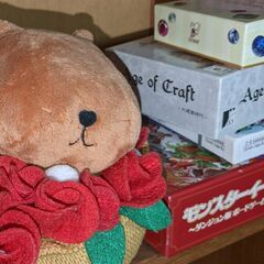 (2月25日)稲毛でボードゲーム会〜