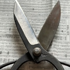 中古 植木鋏 兼続 庭師鋏・剪定鋏 210mm の画像