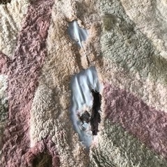 ムートンラグ差し上げます。の画像