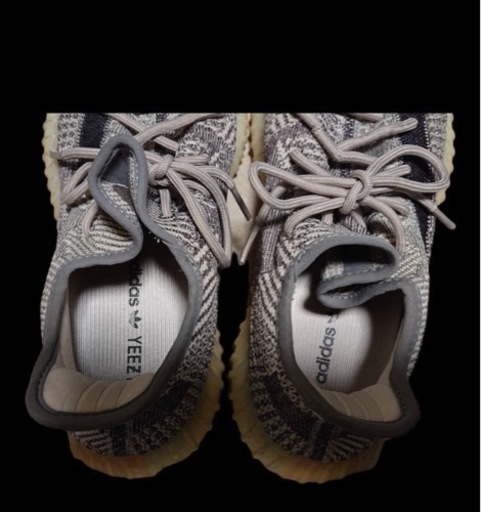 adidas Yeezy Boost 350 V2