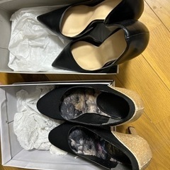 【譲渡先決定】無料/女性用ヒール　23.5とMサイズの画像