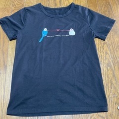 レディースＴシャツ