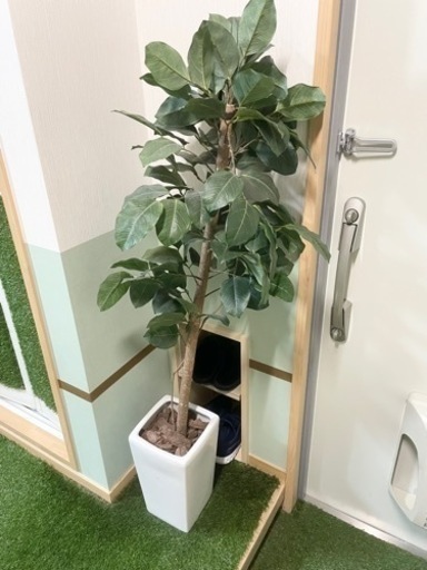 造花　140cm