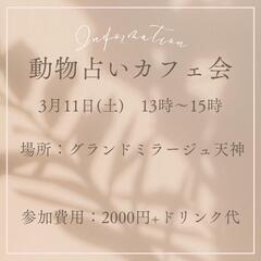 【3月11日(土)　あなたの個性を知る動物占いカフェ会@天神～1...