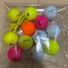 ロストボール12球