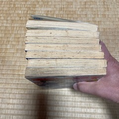 藤島康介　逮捕しちゃうぞの画像