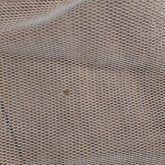 【受け渡し予定者予定】ディズニー　カチューシャ　ミニーの画像