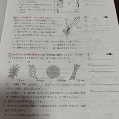 【3/30まで掲載】中１理科　必修テキスト（東京書籍版）の画像