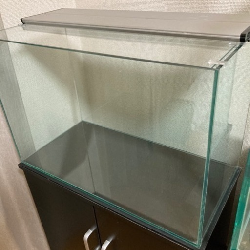 引き取り限定 60cm水槽セット