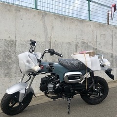 ⭕️⭐️(二週間限定出品)HONDA DAX ST125 ピカピ...