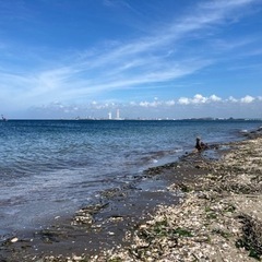 【マリンスタッフ/受付事務】海のそばで働ける！の画像