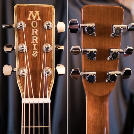 MORRIS MD-525S ハカランダ ギター本体　アコースティックギター MORRIS MD-525S 縦ロゴ ハカランダ