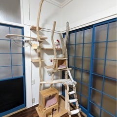 流木 キャットタワー つくります