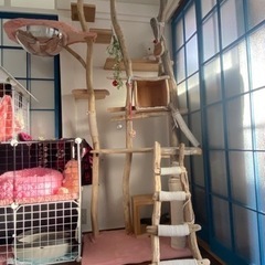 流木　キャットタワー　つくります