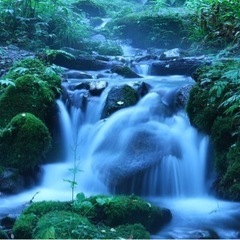 写真を撮りに行く仲間募集中📷（再投稿） − 鳥取県