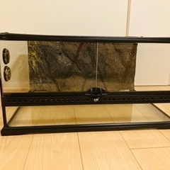 60cm爬虫類用水槽フルセット　フトアゴヒゲトカゲなどの画像
