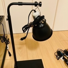 60cm爬虫類用水槽フルセット　フトアゴヒゲトカゲなどの画像
