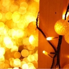 写真を撮りに行く仲間募集中📷（再投稿） - メンバー募集