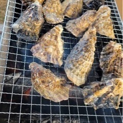 🔥焚き火、⛺️キャンプ、時々　興味そそるかもイベント - 加古川市