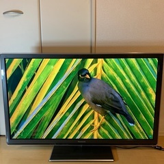 Panasonic テレビ SMART VIERA TH-P42GT5