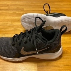 【新品未使用】価格ダウン★NIKE ウィメンズ フレックス エクスペリエンス ラン 10   23cmの画像