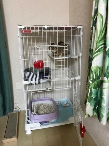 アイリスオーヤマ　ミニキャットケージ