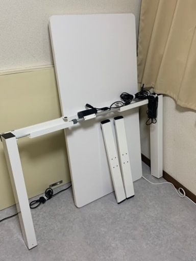 FLEXISPOT 電動式スタンディングデスク EG1