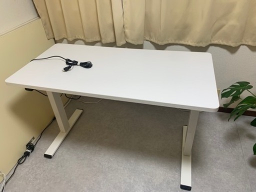 FLEXISPOT 電動式スタンディングデスク EG1