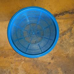 洗桶　未使用の画像