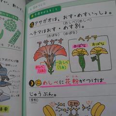 小５　寝る前５分　暗記ブックの画像