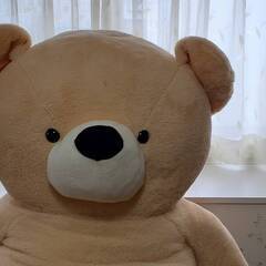 【お取引中】特大くまのぬいぐるみ