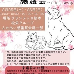 グランメッセ熊本　松栄グループ　ふれあい感謝祭‼️