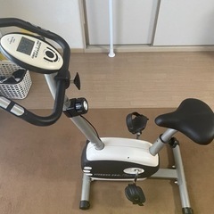 FITNES PRO ALINCO