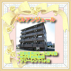 🍌ベルアンジュール205号室🍌✨仲介手数料無料✨敷金・礼金…