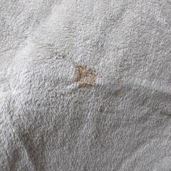 【お譲りします】ホットカーペット 230✕185の画像