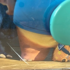 モンスターズインクのチェストの画像